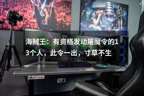 海贼王：有资格发动屠魔令的13个人，此令一出，寸草不生-第1张-游戏信息-拼搏网