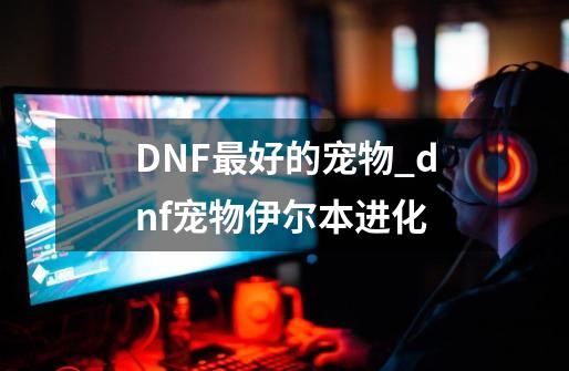 DNF最好的宠物_dnf宠物伊尔本进化-第1张-游戏信息-拼搏网