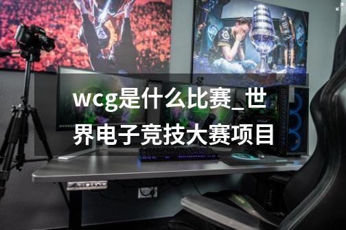 wcg是什么比赛_世界电子竞技大赛项目-第1张-游戏信息-拼搏网