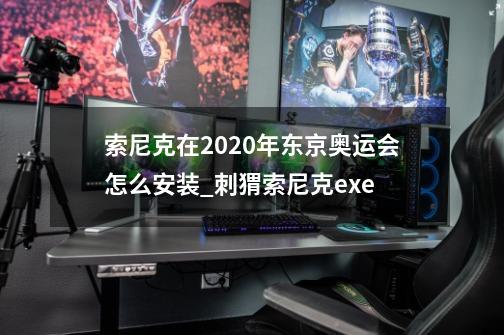 索尼克在2020年东京奥运会怎么安装_刺猬索尼克exe-第1张-游戏信息-拼搏网