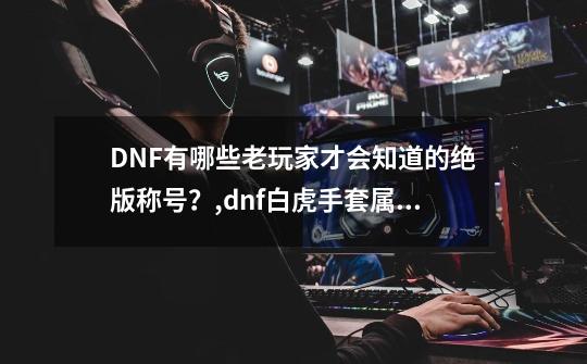 DNF有哪些老玩家才会知道的绝版称号？,dnf白虎手套属性-第1张-游戏信息-拼搏网