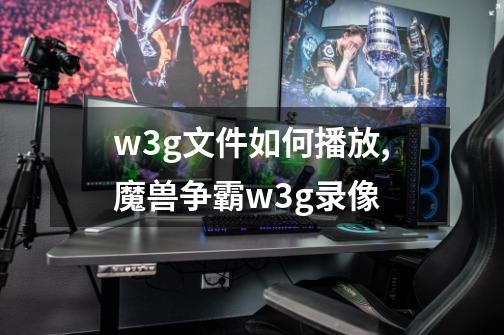 w3g文件如何播放,魔兽争霸w3g录像-第1张-游戏信息-拼搏网