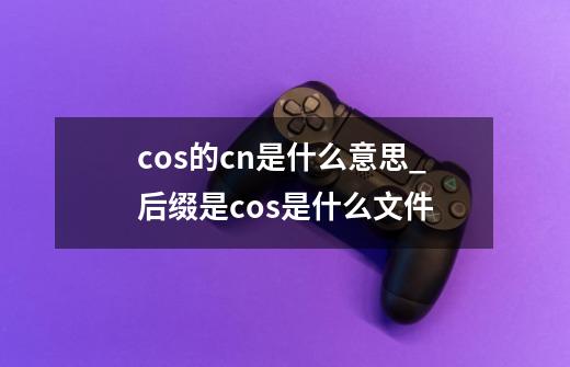 cos的cn是什么意思_后缀是cos是什么文件-第1张-游戏信息-拼搏网